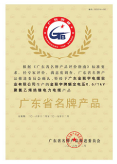 實業(yè)廣東省名牌產(chǎn)品